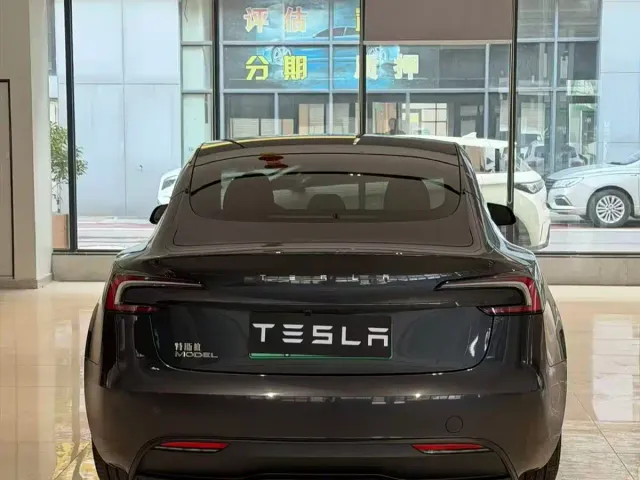 Tesla Model 3 — Фото автомобиля 8