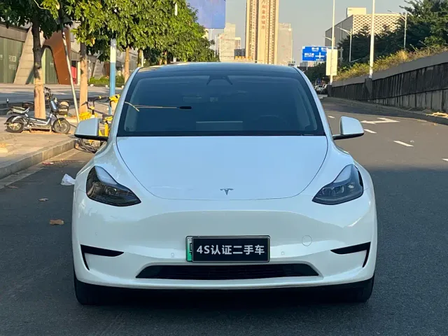Tesla Model Y — Фото автомобиля 3
