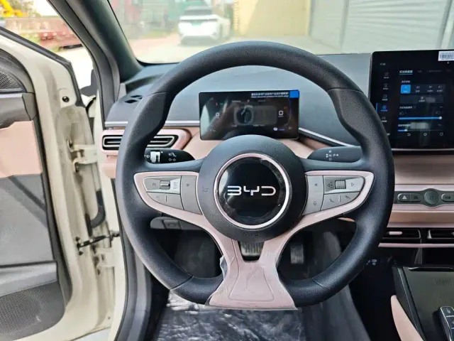 BYD Seagull — Фото автомобиля 10