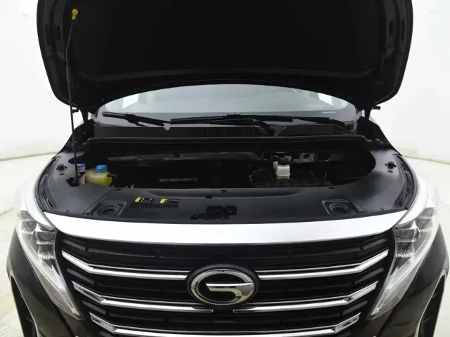 GAC Trumpchi M8 — Фото автомобиля 12