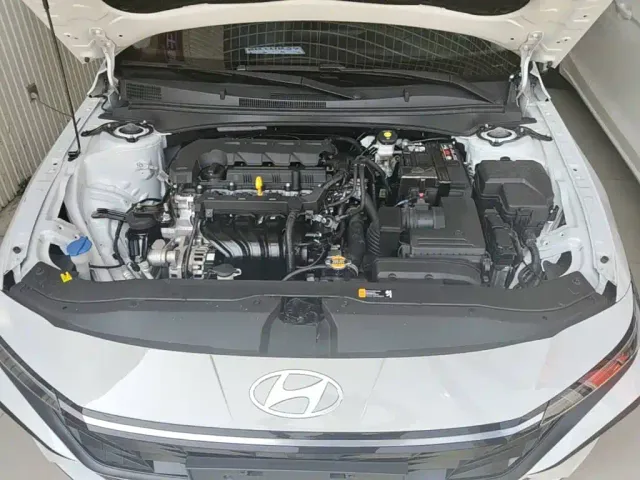 Hyundai Elantra — Фото автомобиля 18