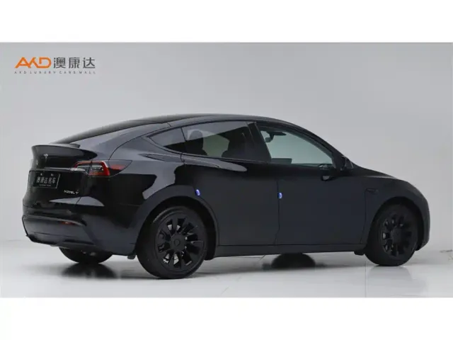 Tesla Model Y — Фото автомобиля 3
