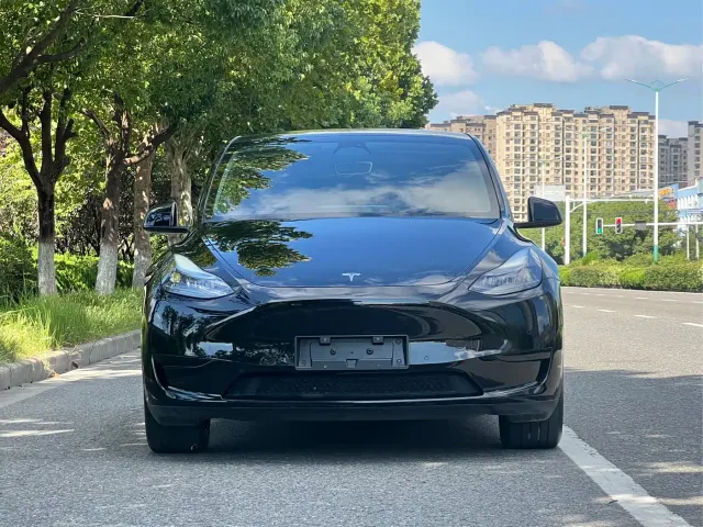 Tesla Model Y — Фото автомобиля 2
