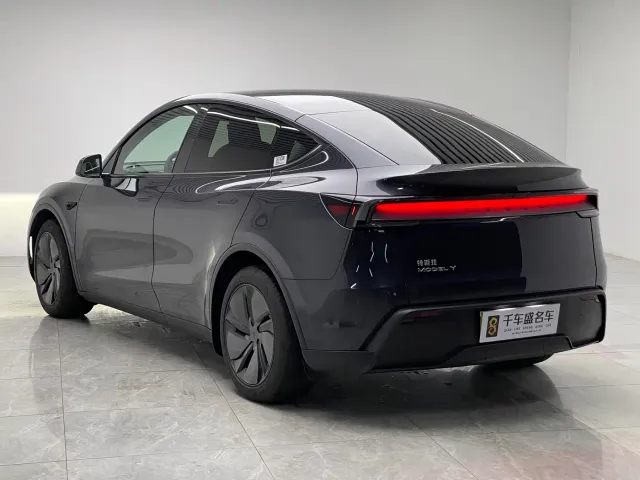 Tesla Model Y — Фото автомобиля 4