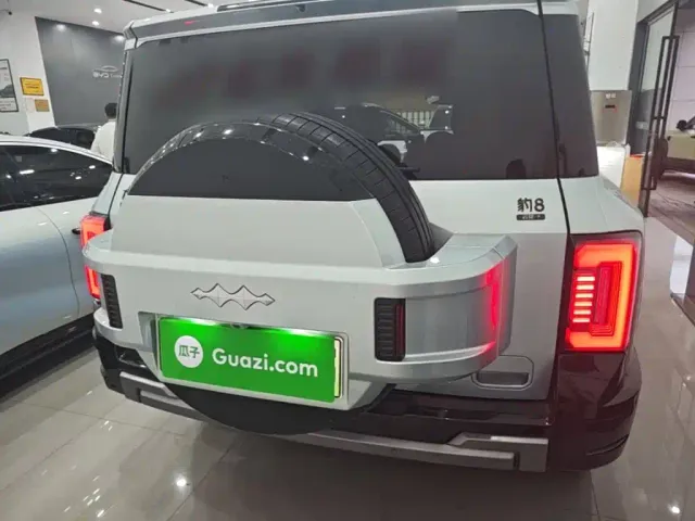 BYD FangChengBao Leopard 8 — Фото автомобиля 5