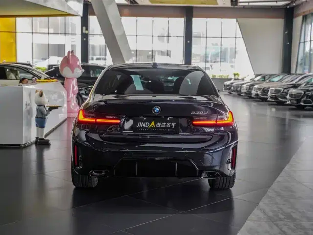 BMW 3 Series — Фото автомобиля 15