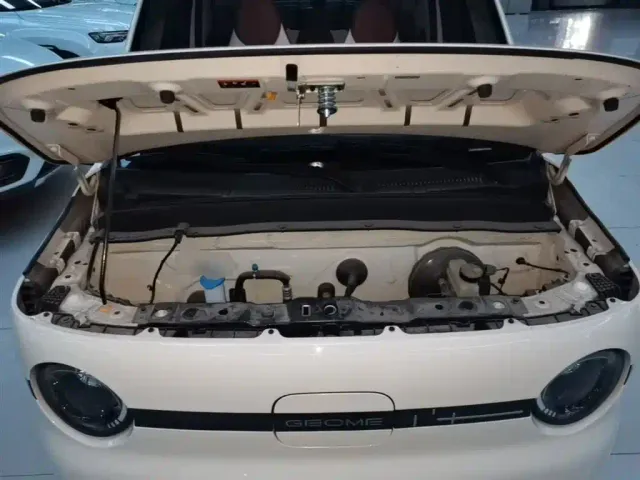 Geely Panda — Фото автомобиля 19