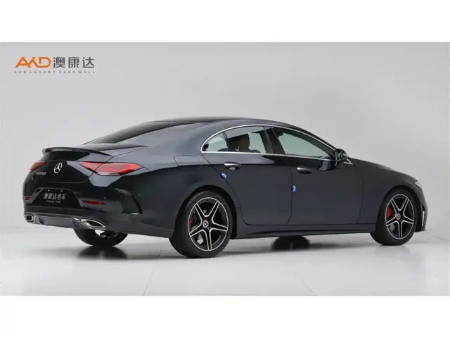 Mercedes-Benz CLS-Class — Фото автомобиля 3