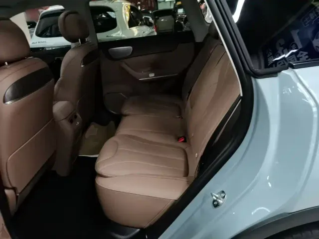 Leapmotor C11 — Фото автомобиля 16