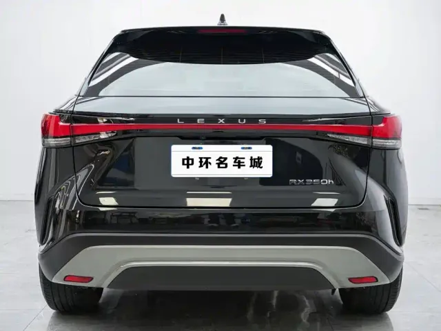 Lexus RX — Фото автомобиля 16