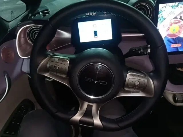 BYD Dolphin — Фото автомобиля 10