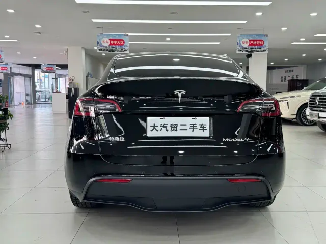 Tesla Model Y — Фото автомобиля 4