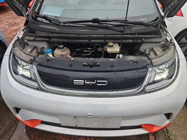 BYD Dolphin — Фото автомобиля 19