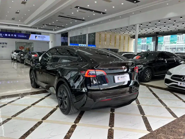 Tesla Model Y — Фото автомобиля 15