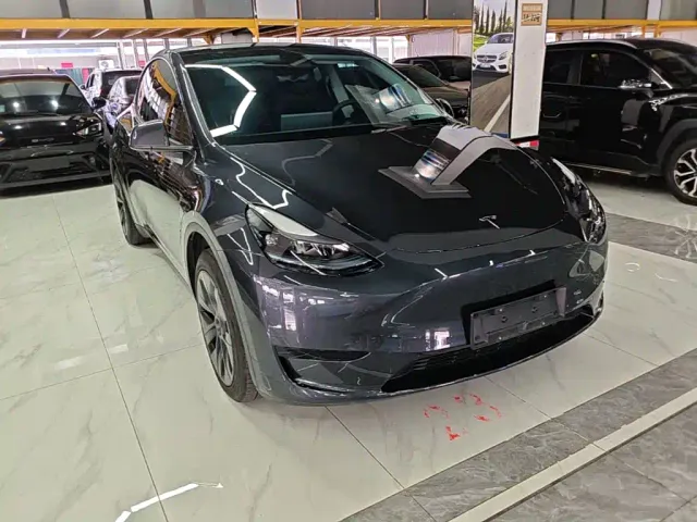 Tesla Model Y — Фото автомобиля 3