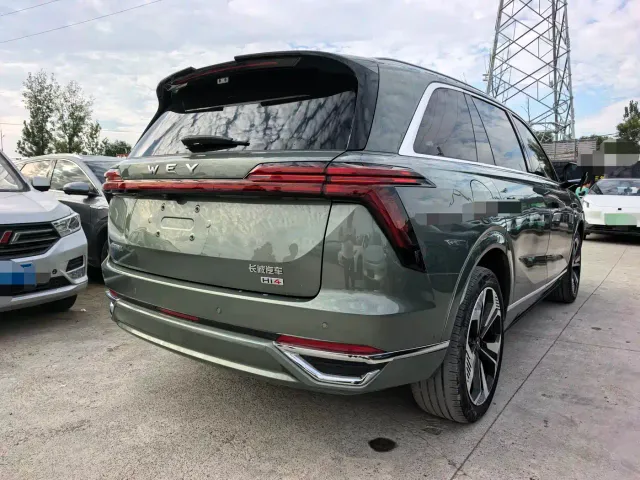 Wey Lanshan — Фото автомобиля 12