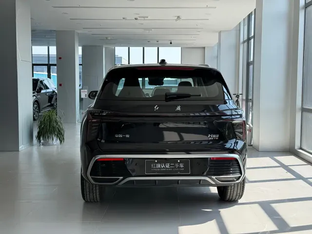Hongqi HS3 — Фото автомобиля 5