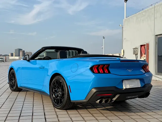 Ford Mustang — Фото автомобиля 7
