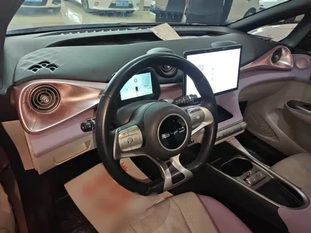 BYD Dolphin — Фото автомобиля 15
