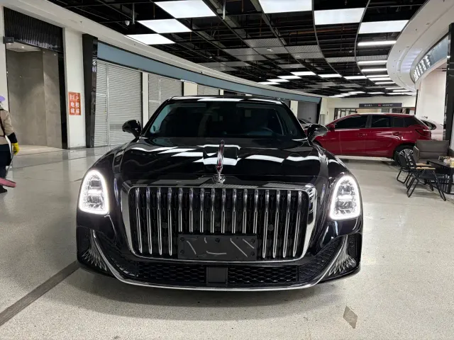 Hongqi Guoya — Фото автомобиля 2