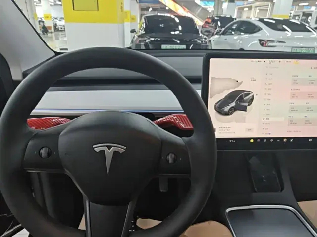 Tesla Model Y — Фото автомобиля 10