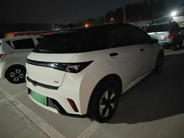 BYD Dolphin — Фото автомобиля 6