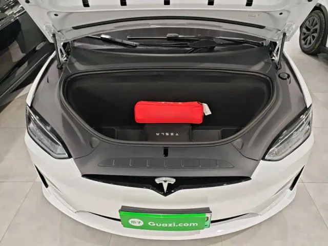 Tesla Model X — Фото автомобиля 19