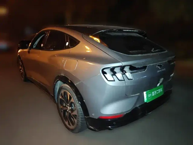 Ford Mustang Mach-E — Фото автомобиля 4