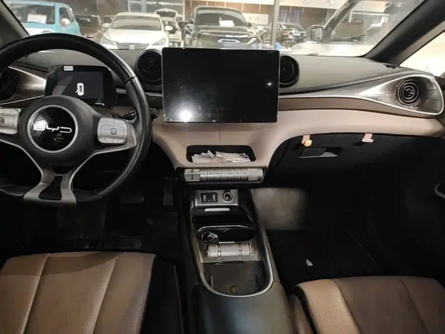 BYD Dolphin — Фото автомобиля 12