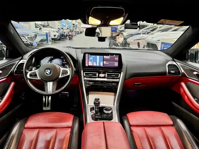 BMW 8 Series — Фото автомобиля 9