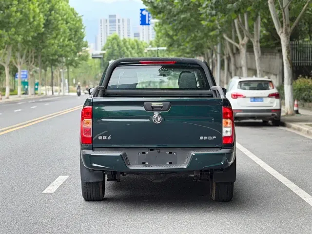 Dongfeng Rich 6 Pro — Фото автомобиля 17