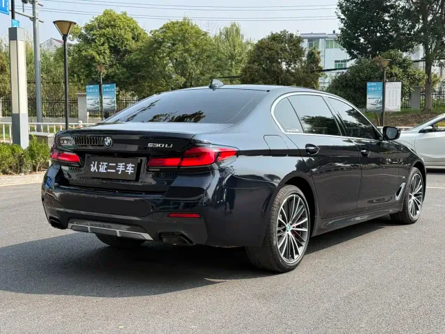BMW 5 Series — Фото автомобиля 5