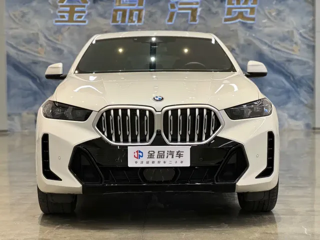 BMW X6 — Фото автомобиля 2