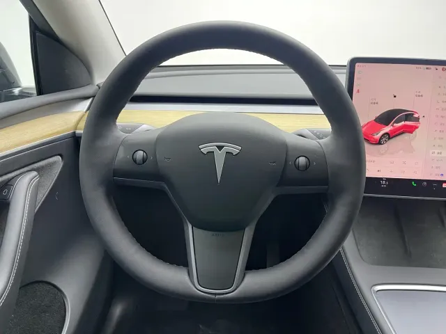 Tesla Model Y — Фото автомобиля 12