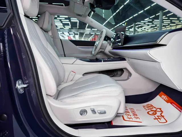 Buick Electra L7 — Фото автомобиля 13