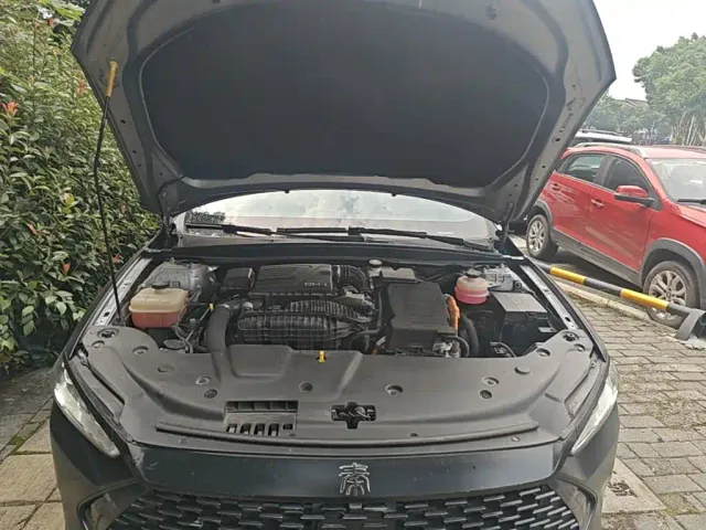 BYD Qin PLUS — Фото автомобиля 19