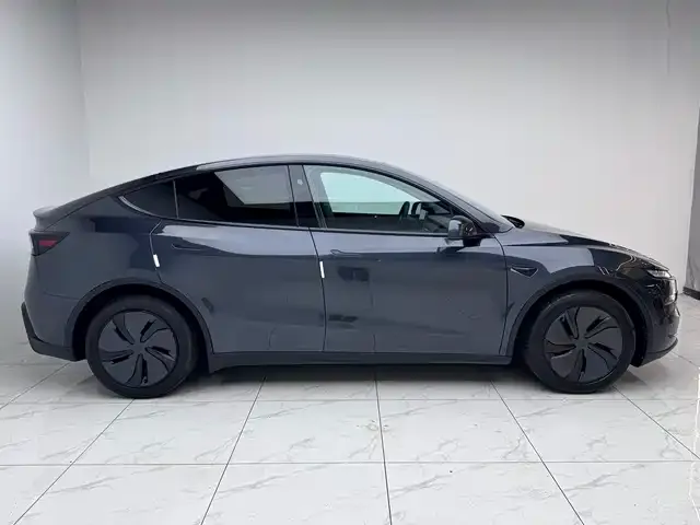 Tesla Model Y — Фото автомобиля 3