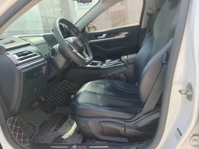 BYD Qin PLUS — Фото автомобиля 3