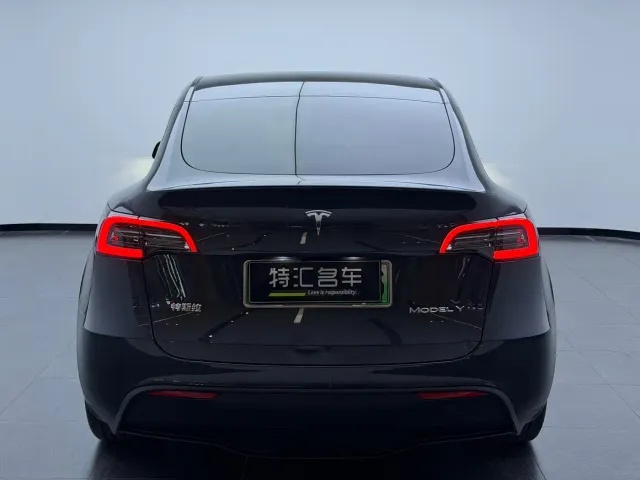 Tesla Model Y — Фото автомобиля 14