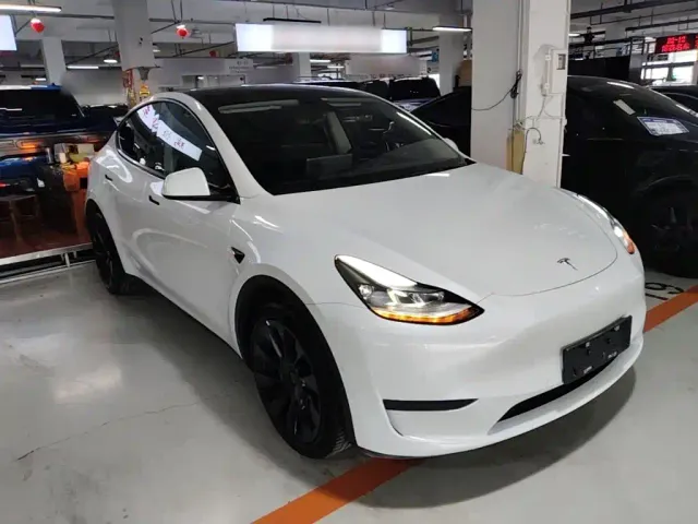 Tesla Model Y — Фото автомобиля 3
