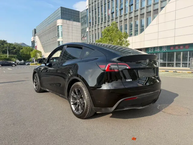 Tesla Model Y — Фото автомобиля 7