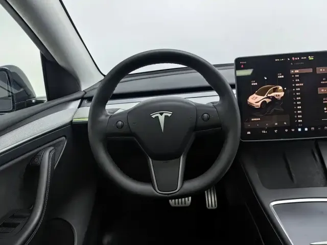 Tesla Model Y — Фото автомобиля 11