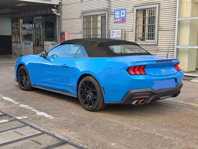 Ford Mustang — Фото автомобиля 4