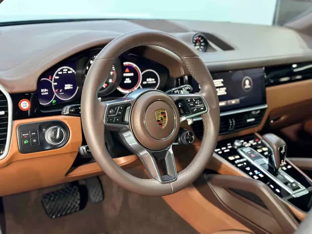 Porsche Cayenne 2022 Cayenne 3.0T Platinum Edition — Фото автомобиля 16