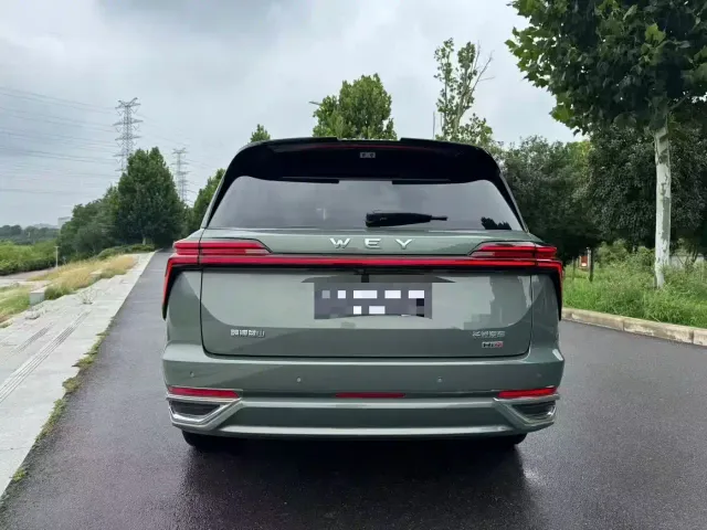 Wey Lanshan — Фото автомобиля 9