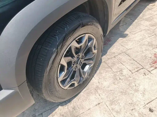 Haval Big Dog — Фото автомобиля 24