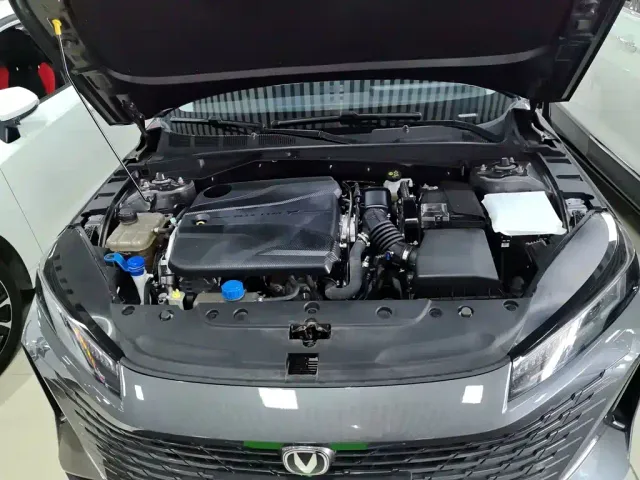 Changan Lamore — Фото автомобиля 19