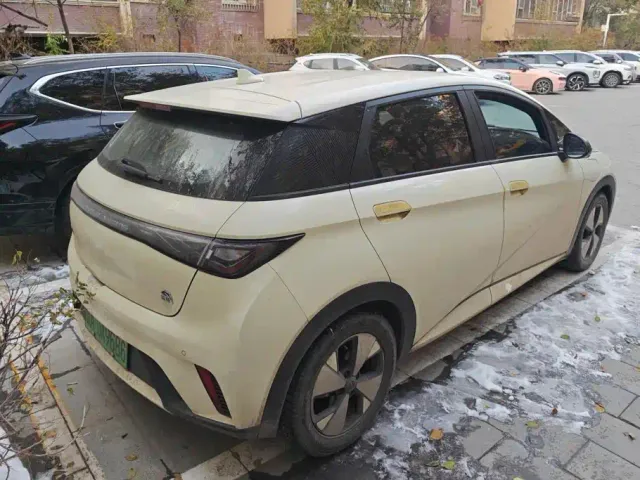 BYD Dolphin — Фото автомобиля 3
