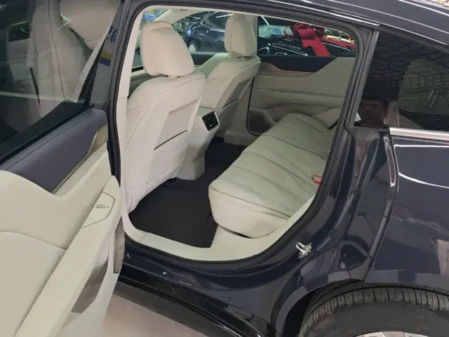 Buick Electra L7 — Фото автомобиля 11