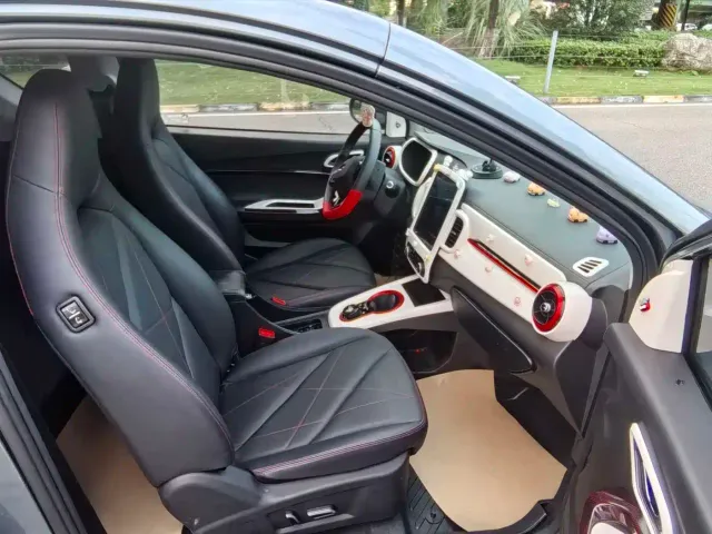 QQ New Energy Little Ant 2023 251km True Love Edition LFP — Фото автомобиля 10